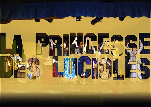 The Princess of the Fireflies, Theatre play for kids